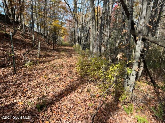 L30.2 Goewey Road, Fultonville, New York image 6