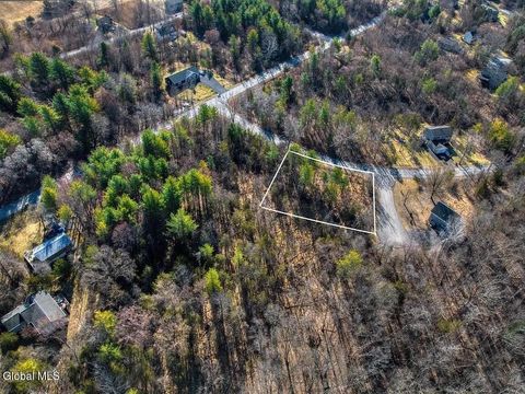 Vacant Land For Sale - L38 Yost Court<br/> Greene County, Coxsackie, NY 12015