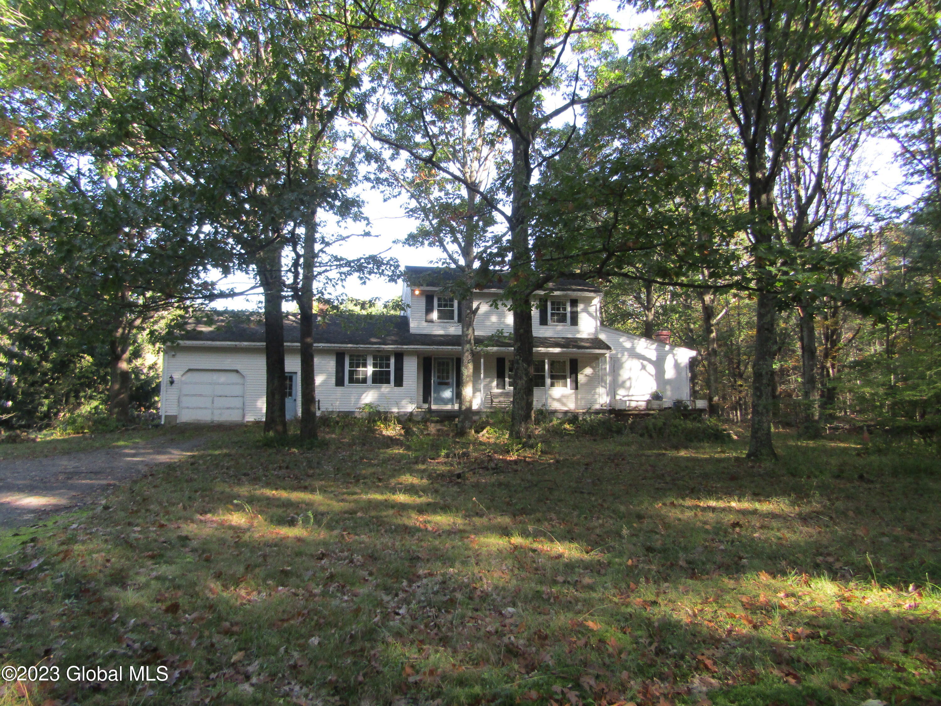 96 Slade Hill Road, Westerlo, New York image 1