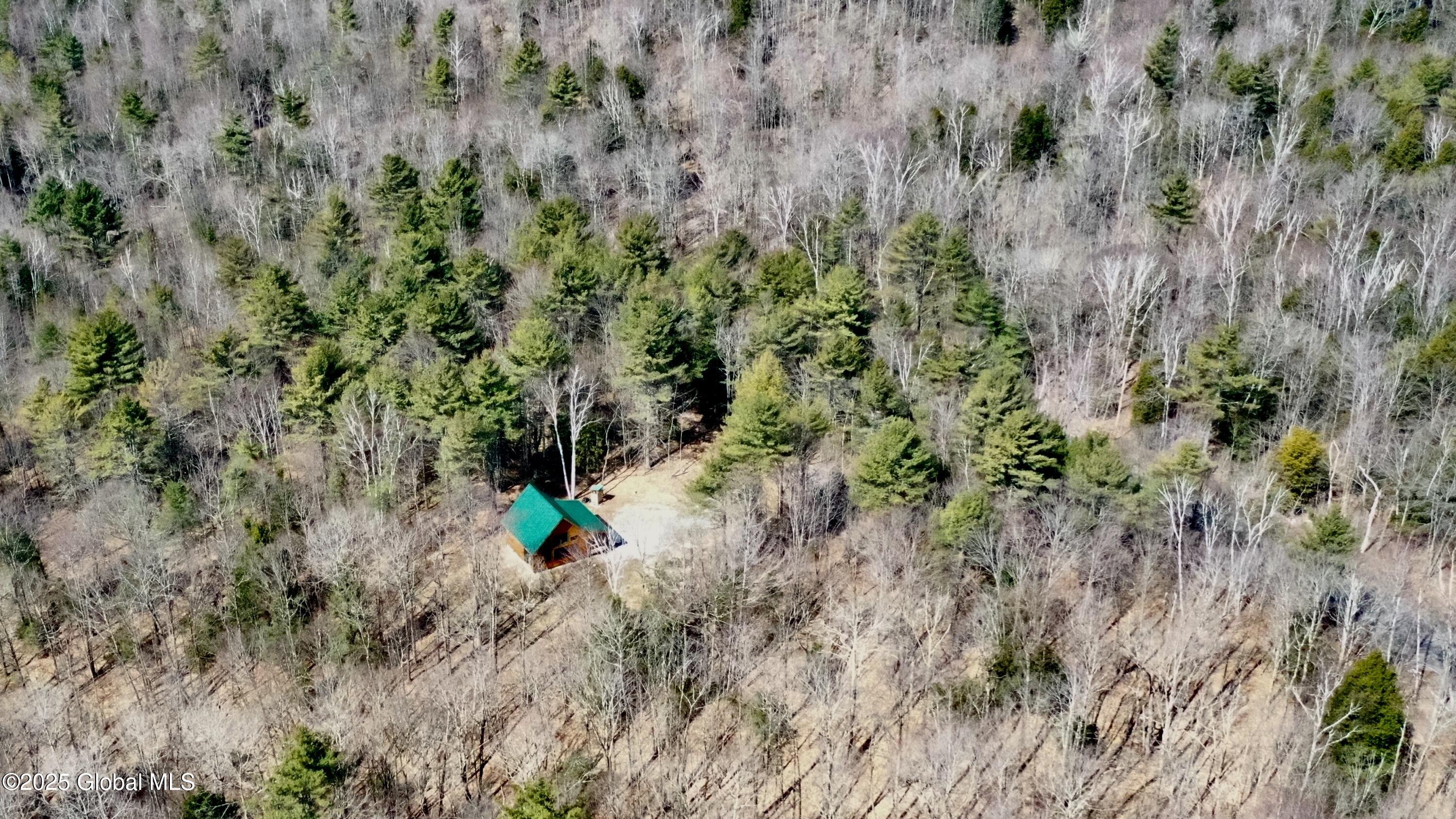 311 Lanfear Road, Stony Creek, New York image 2