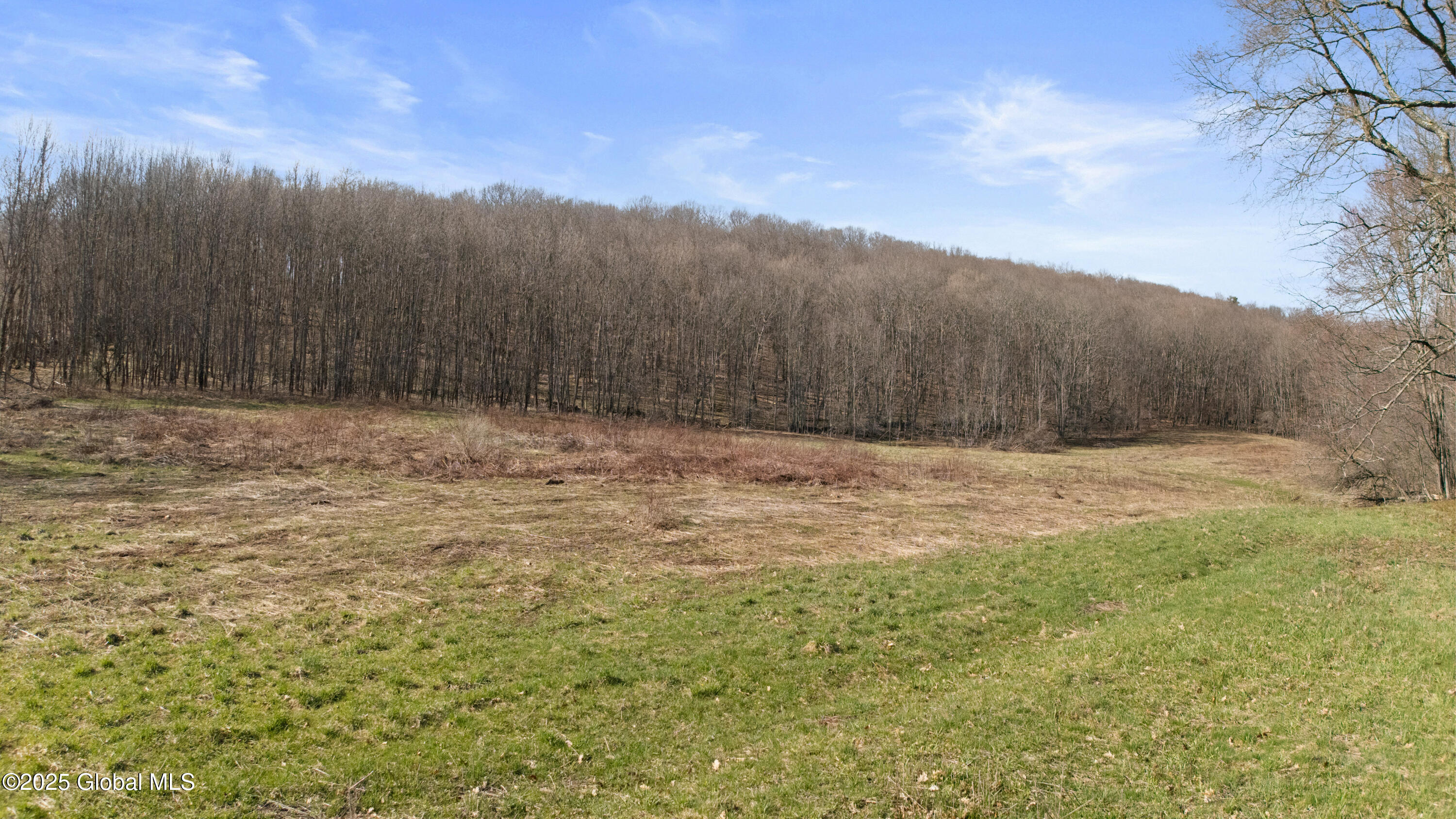 L9.111 Lutheranville Road, East Worcester, New York image 5