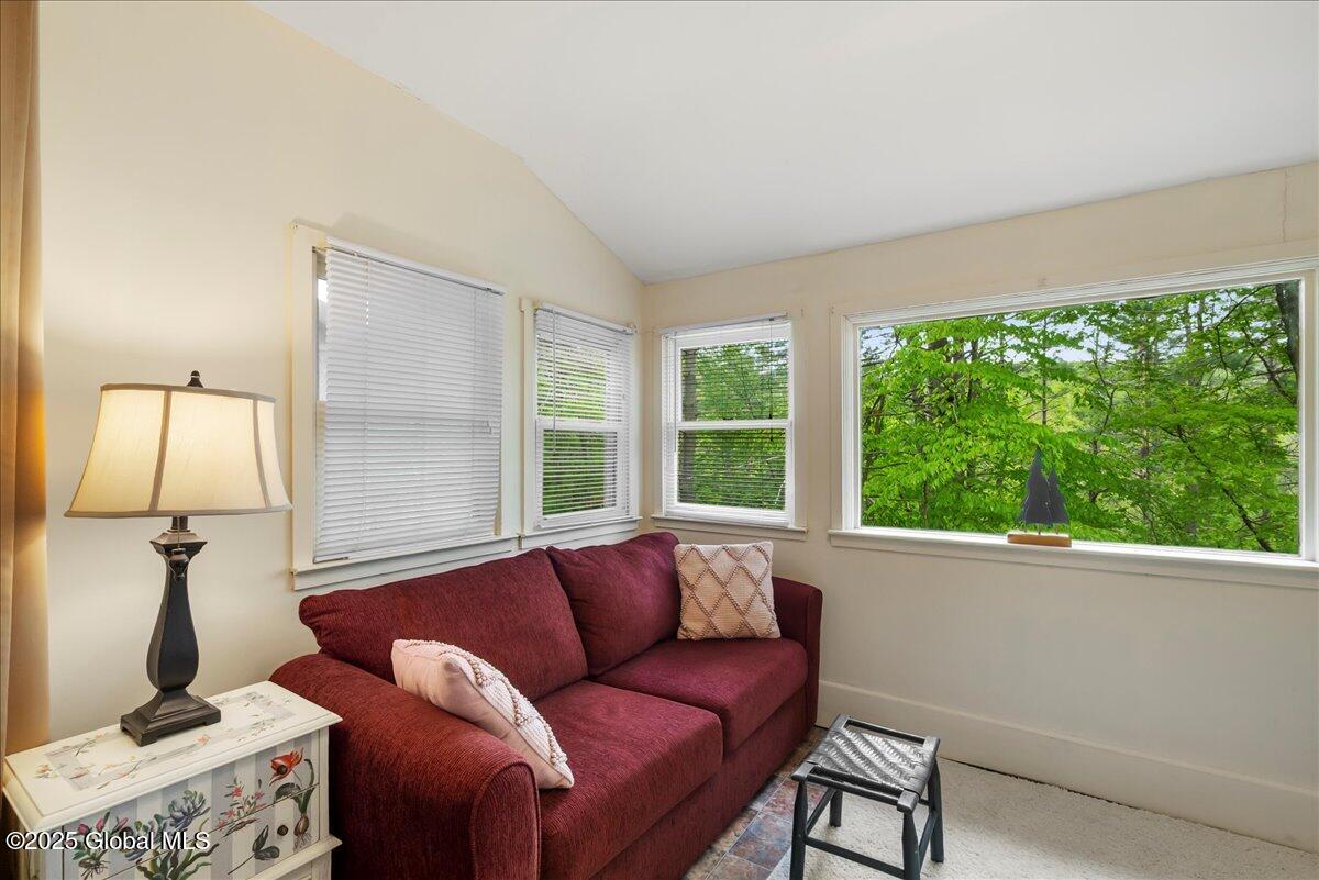 1 High Pines Terrace #1C, Chestertown, New York image 14