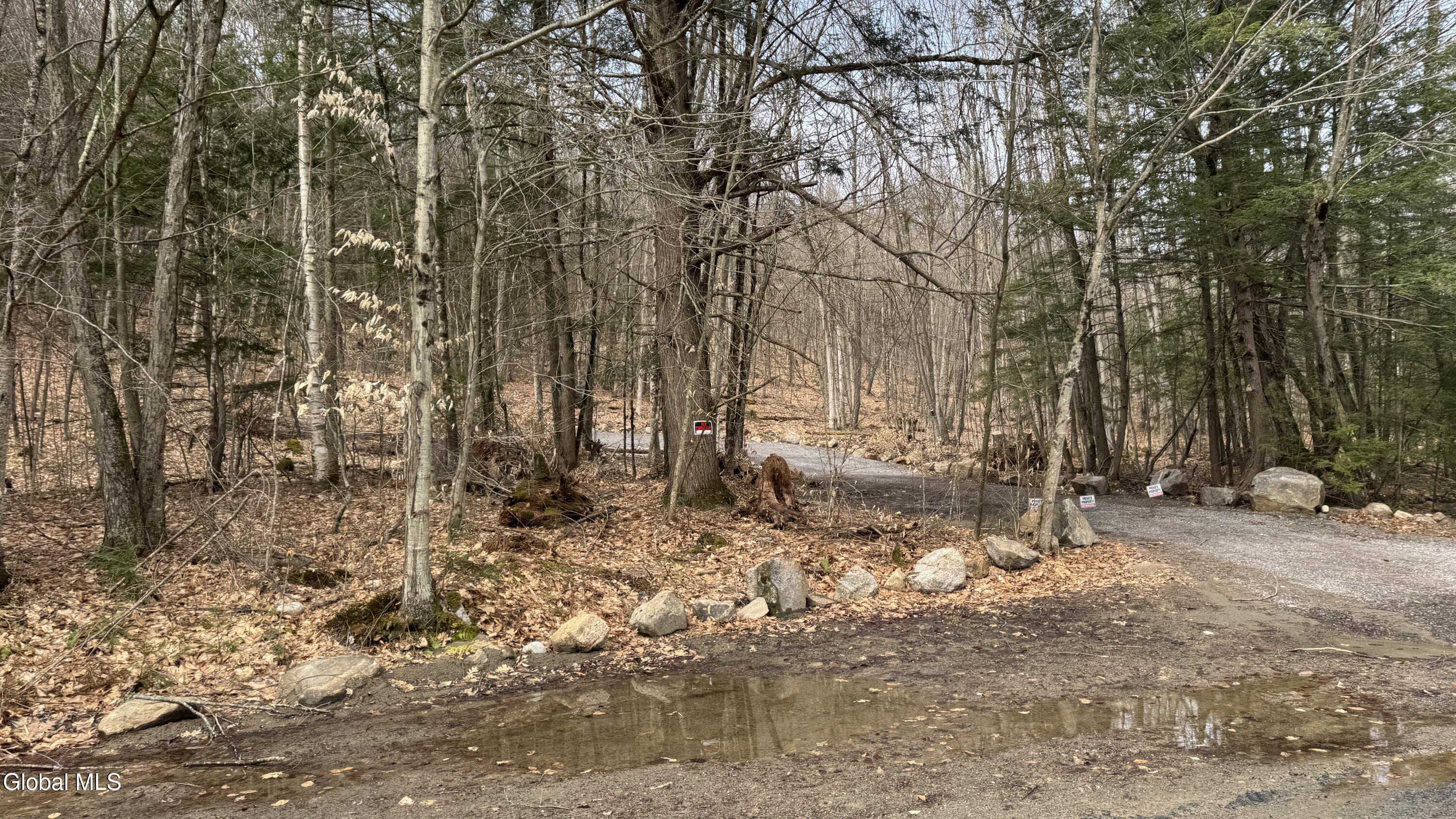 4 Spring Wood