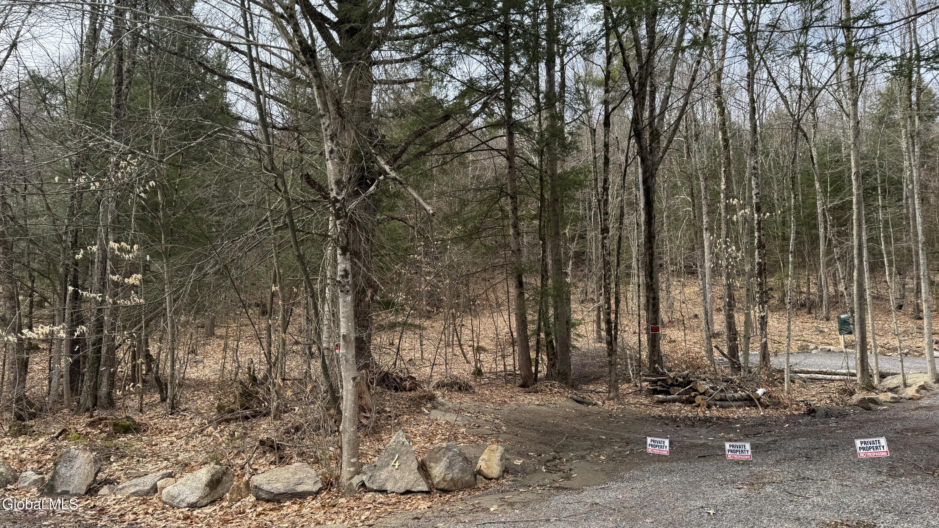 4 Spring Wood