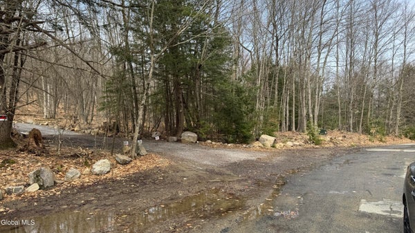 4 SPRING WOODS, DIAMOND POINT, NY 12824 - Image 31bf5f19e901afb3f56d91d0a063014e/3401302980
