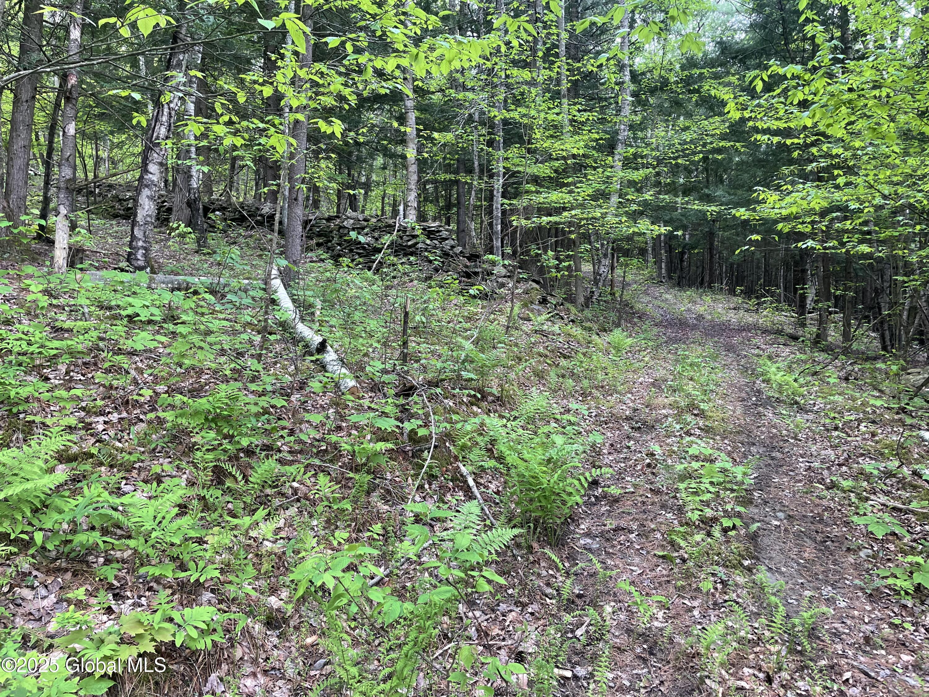 220 Mary Taylor Road, Middleburgh, New York image 8