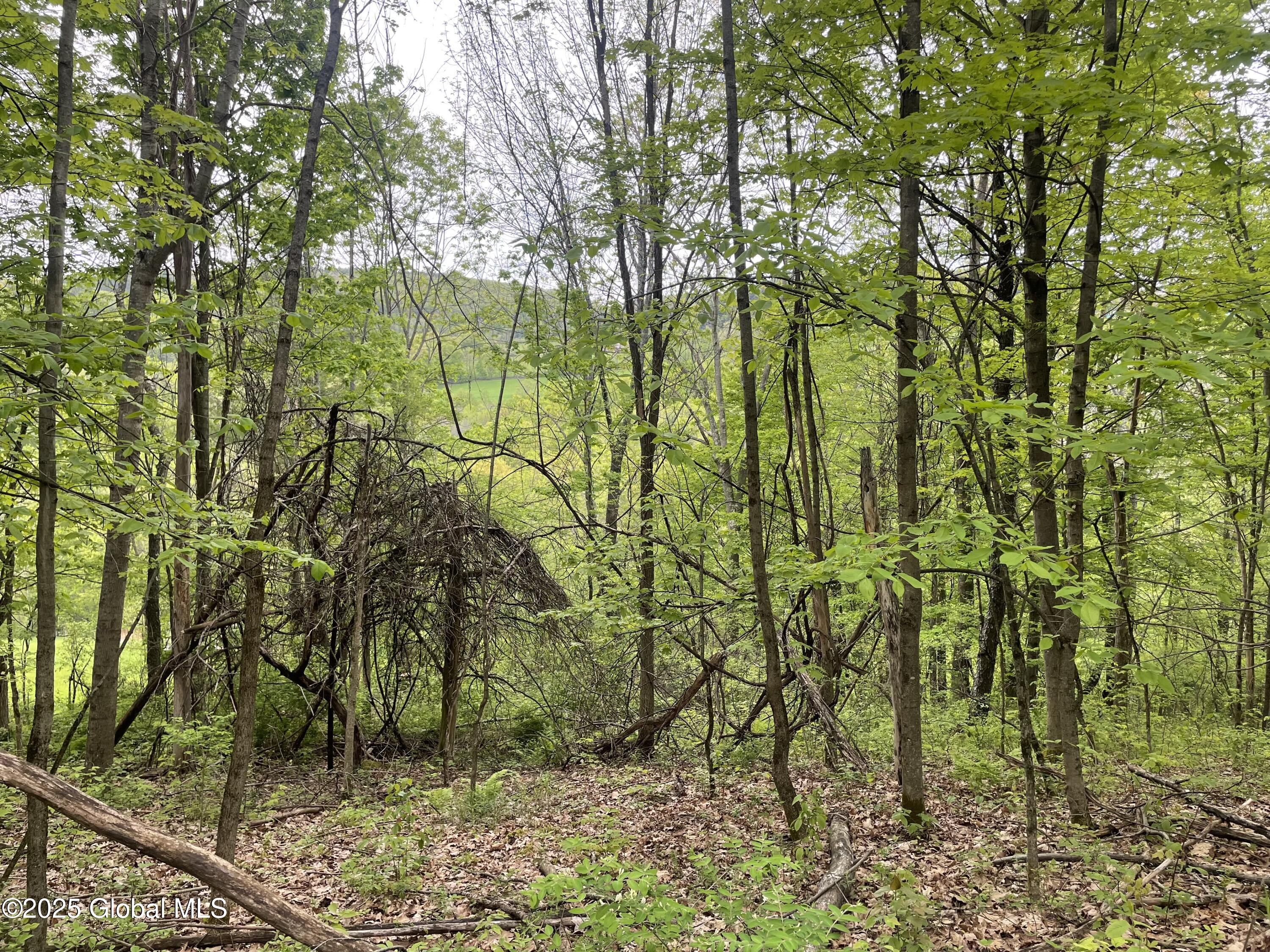220 Mary Taylor Road, Middleburgh, New York image 10