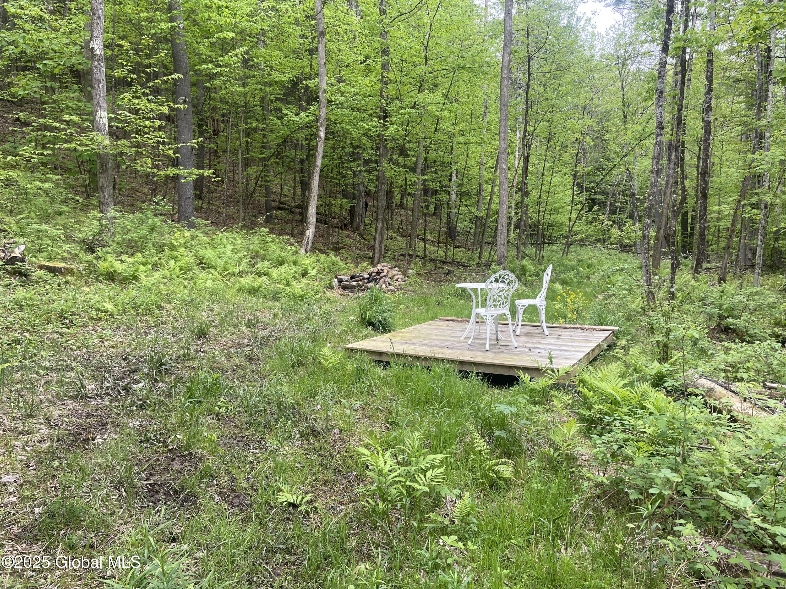 220 Mary Taylor Road, Middleburgh, New York image 7