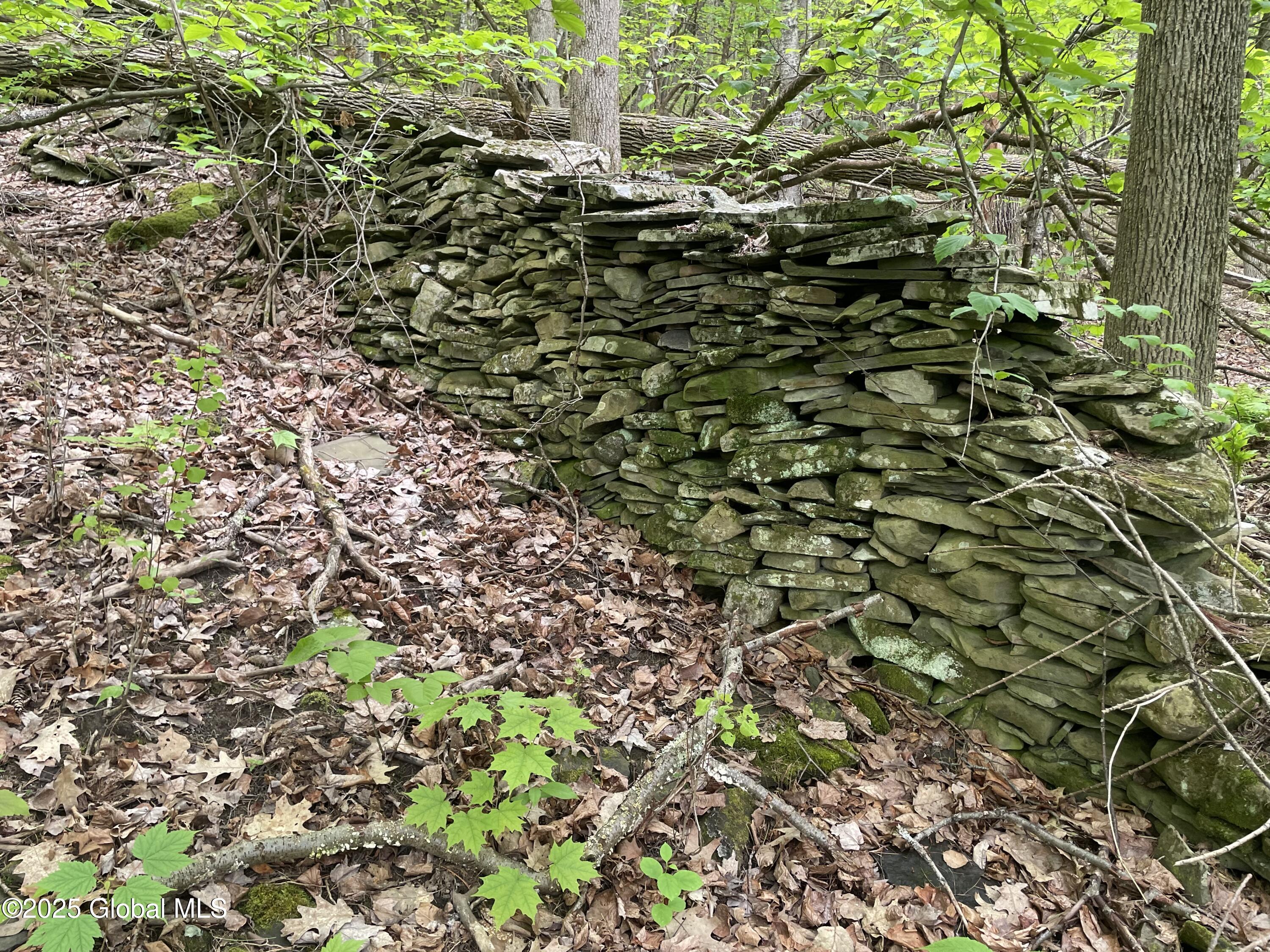220 Mary Taylor Road, Middleburgh, New York image 9