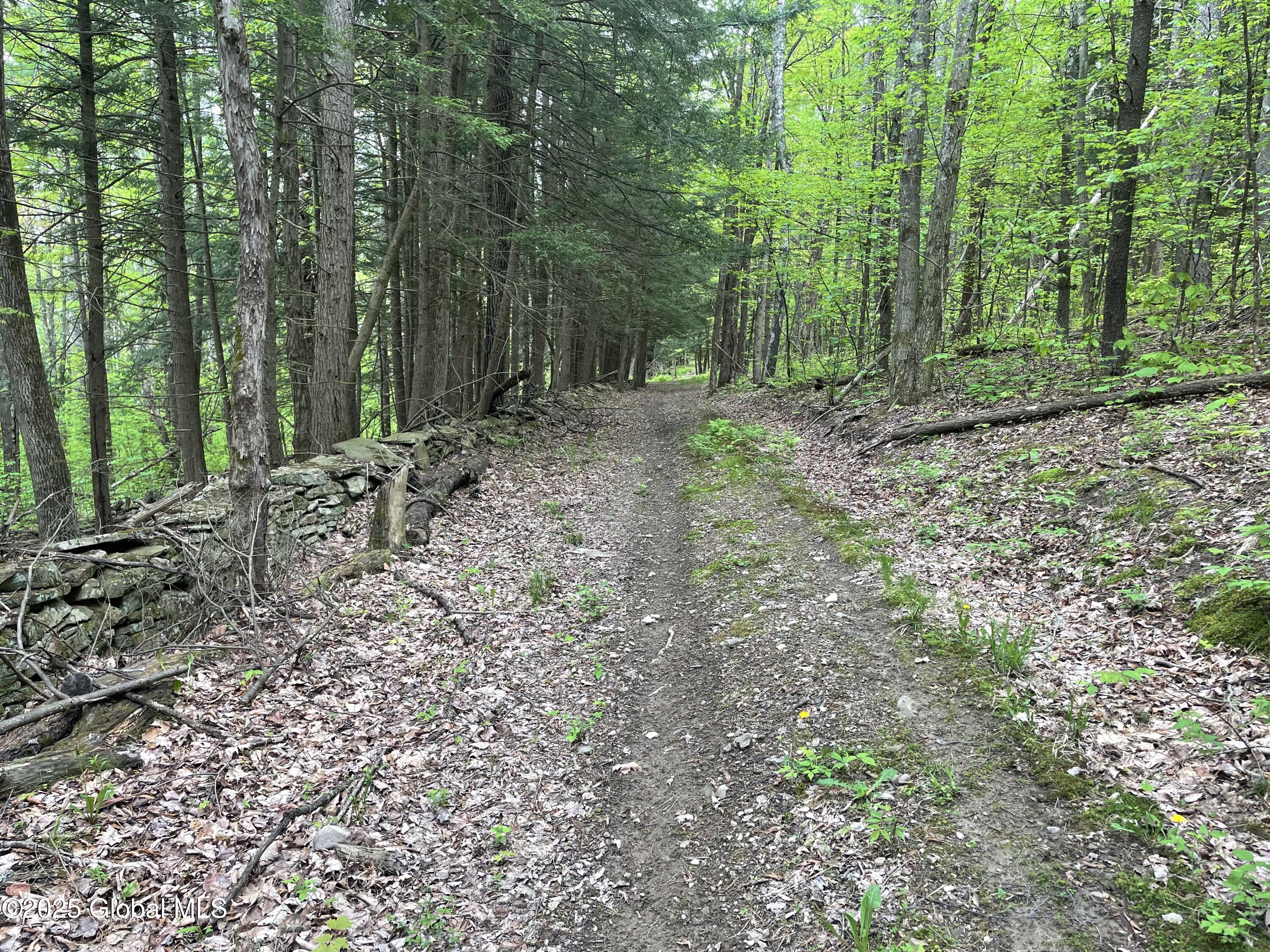 220 Mary Taylor Road, Middleburgh, New York image 5