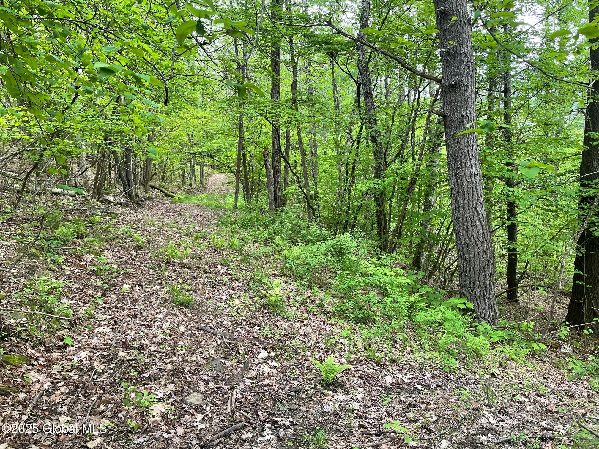 220 Mary Taylor Road, Middleburgh, New York image 14