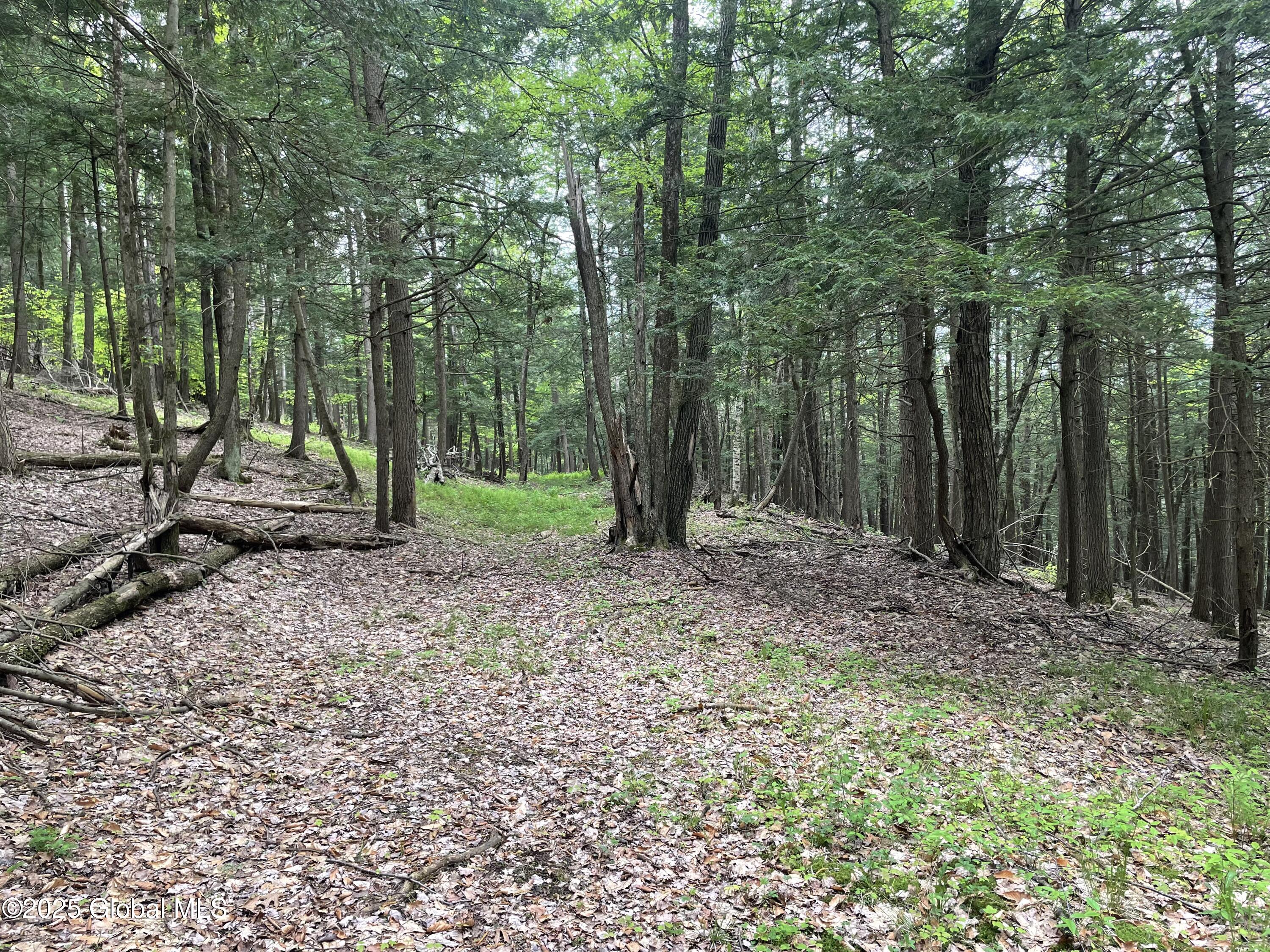 220 Mary Taylor Road, Middleburgh, New York image 11