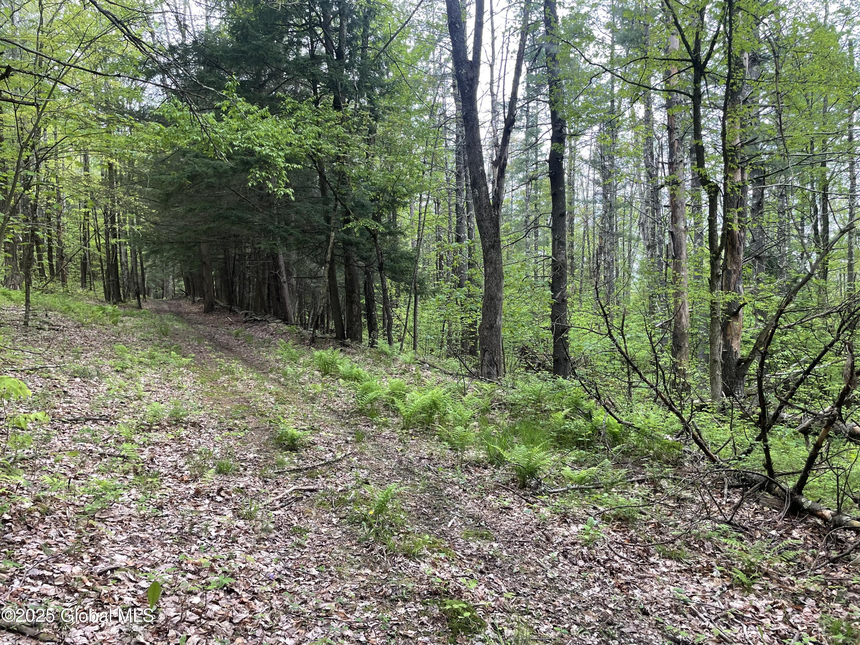220 Mary Taylor Road, Middleburgh, New York image 12