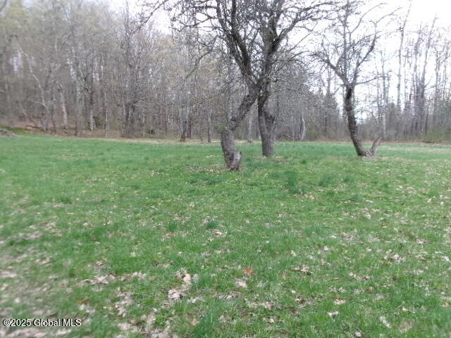 145 Gott Road, Richmondville, New York image 5