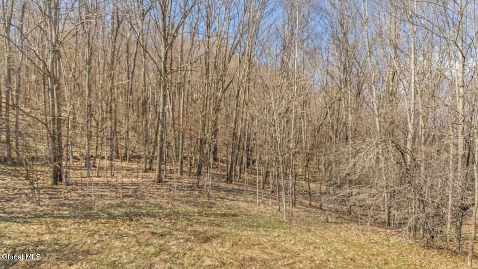 L9.112 Lutheranville Road