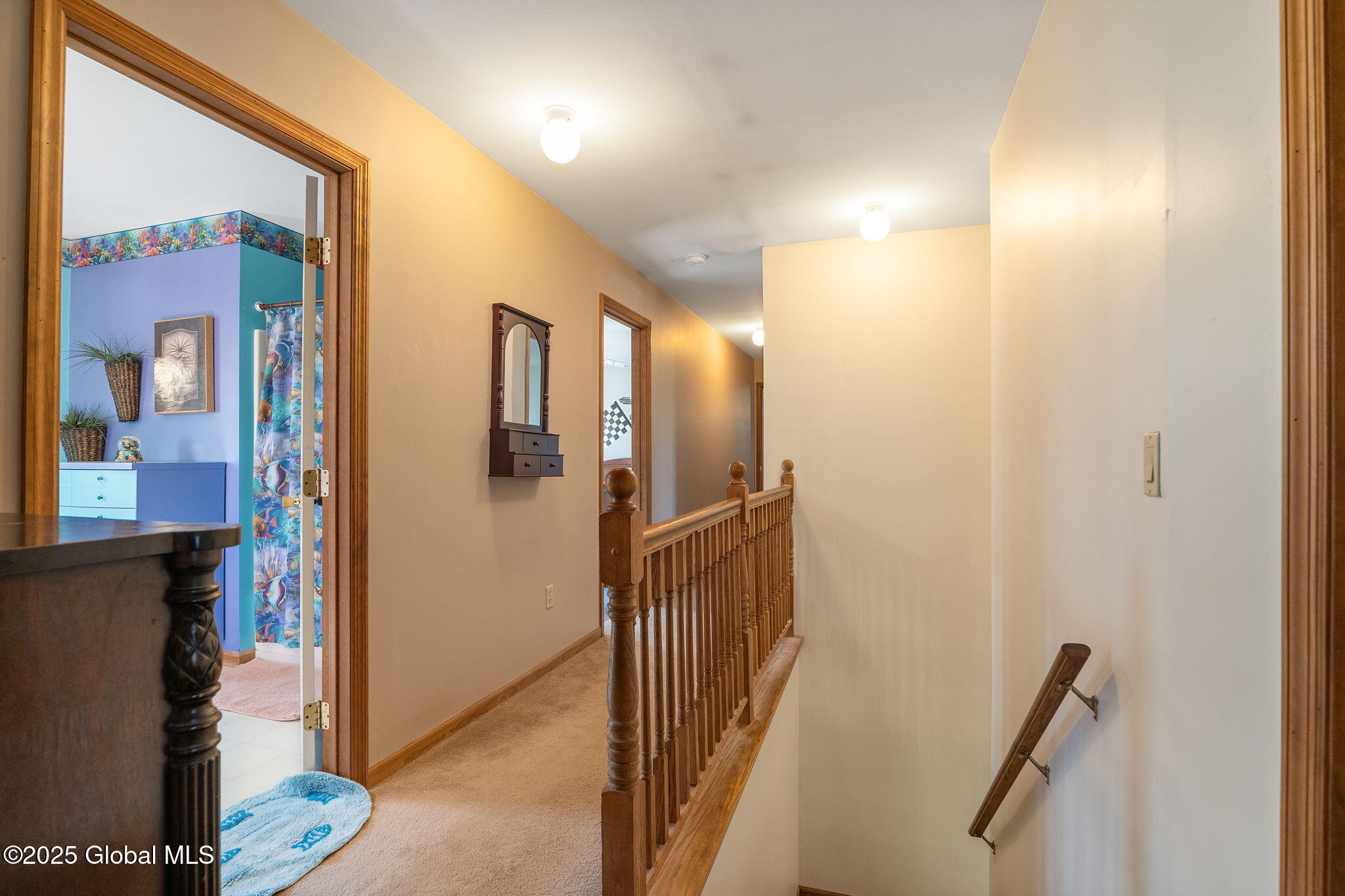 230 Zicha Road, Howes Cave, New York image 27