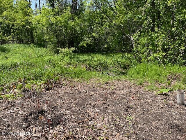 854 Millers Corners Road, Delanson, New York image 4