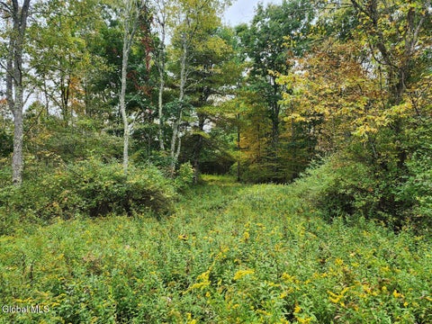 Vacant Land For Sale - L15.4 Bogtown Road<br/> Salem, NY 12865