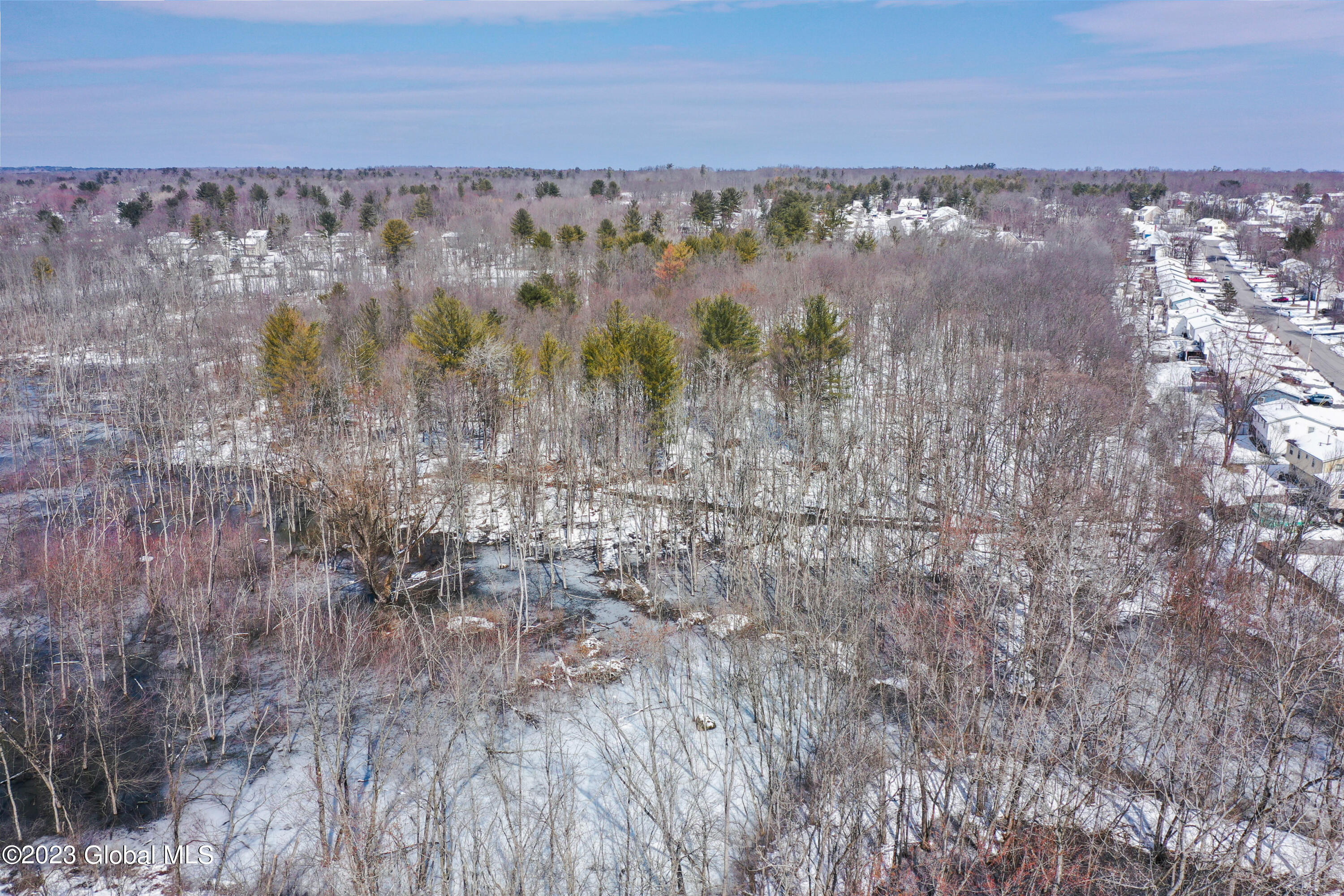 L1.1 Holly Boulevard, Scotia, New York image 14