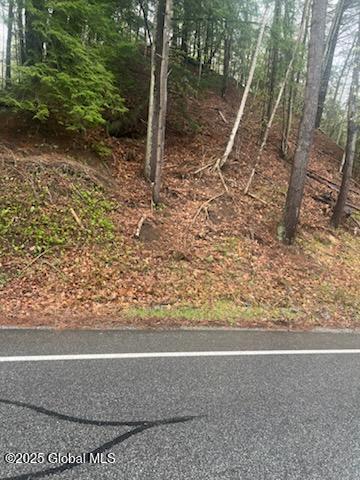 Valley Woods Road, Bolton Landing, New York image 2
