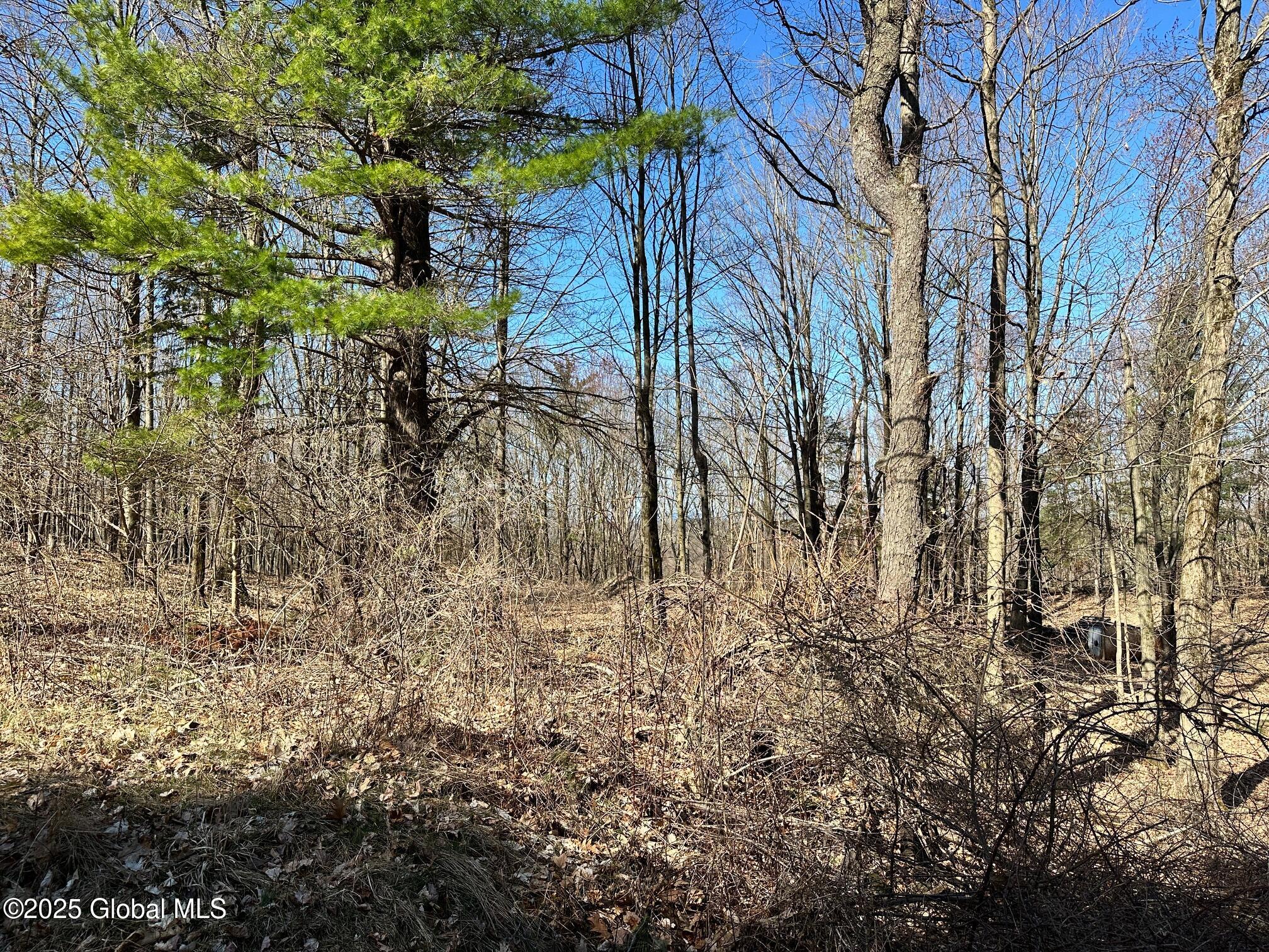 L26 Snake Hill Road, Poestenkill, New York image 5
