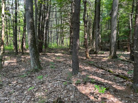 Photo of L12.100 Willsie Road, Berne, NY 12023 (MLS # 202526717)