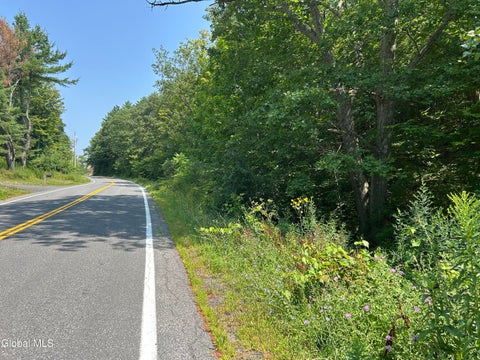 Vacant Land For Sale - L12.100 Willsie Road<br/> Berne, NY 12023