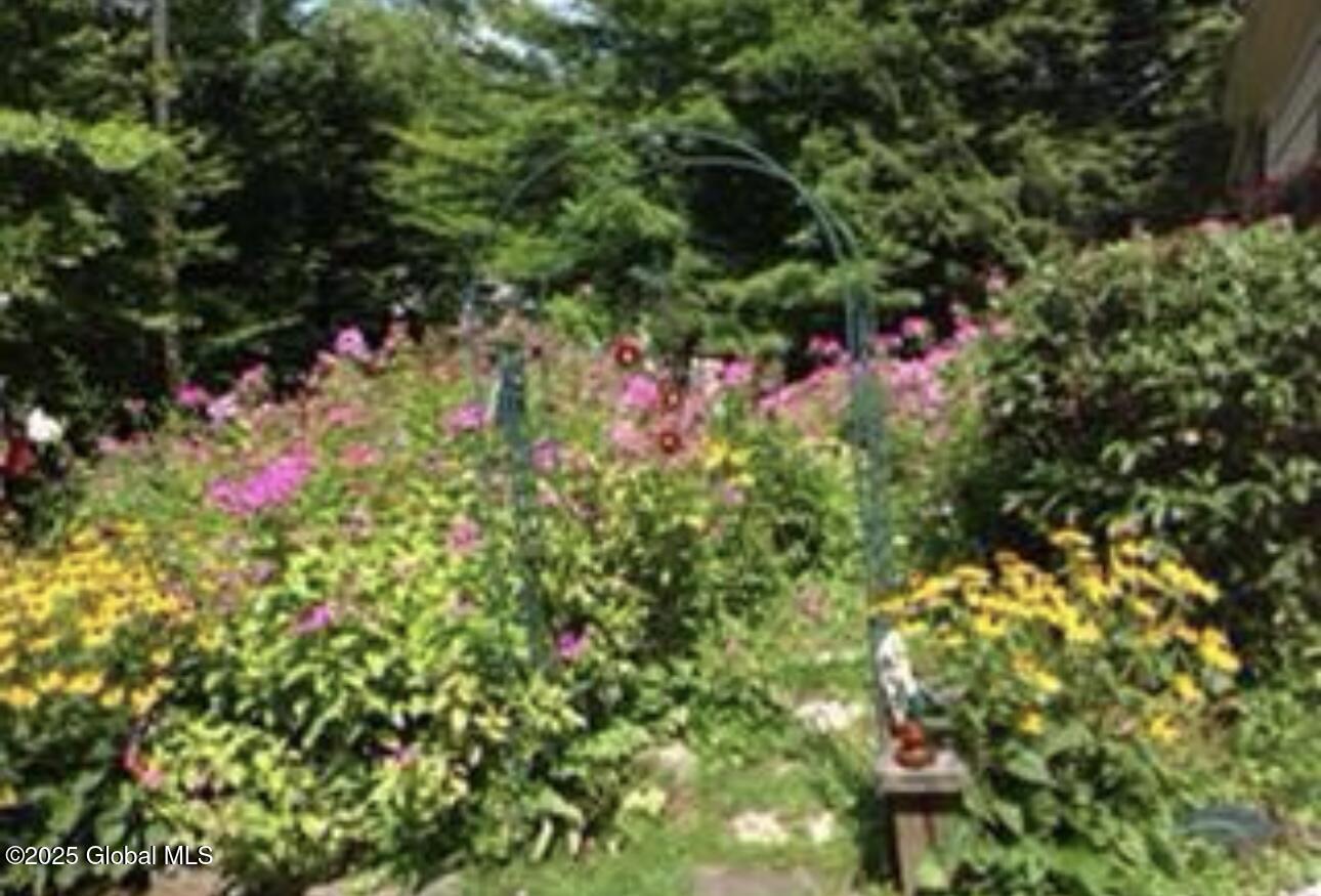 13 Ko Ko Lane, East Berne, New York image 48