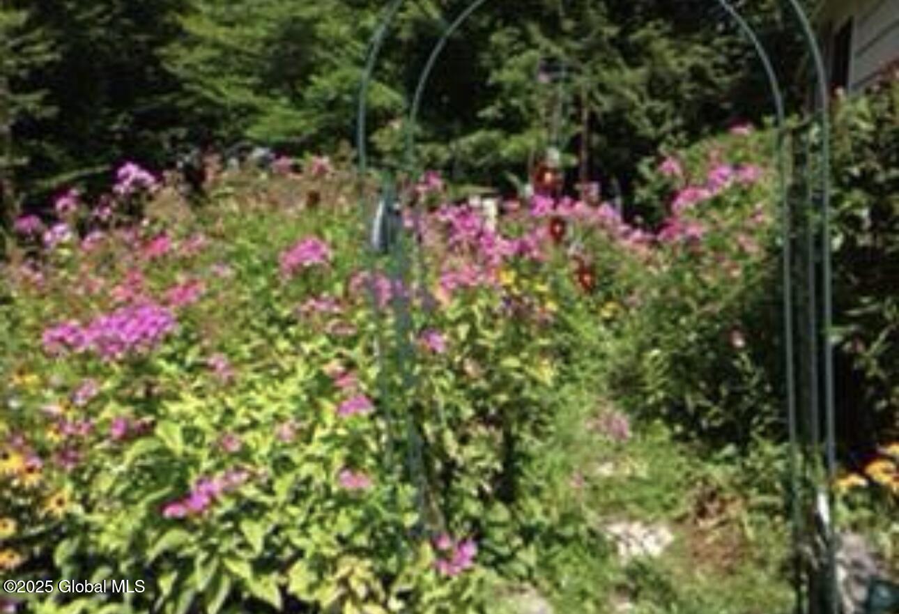 13 Ko Ko Lane, East Berne, New York image 47