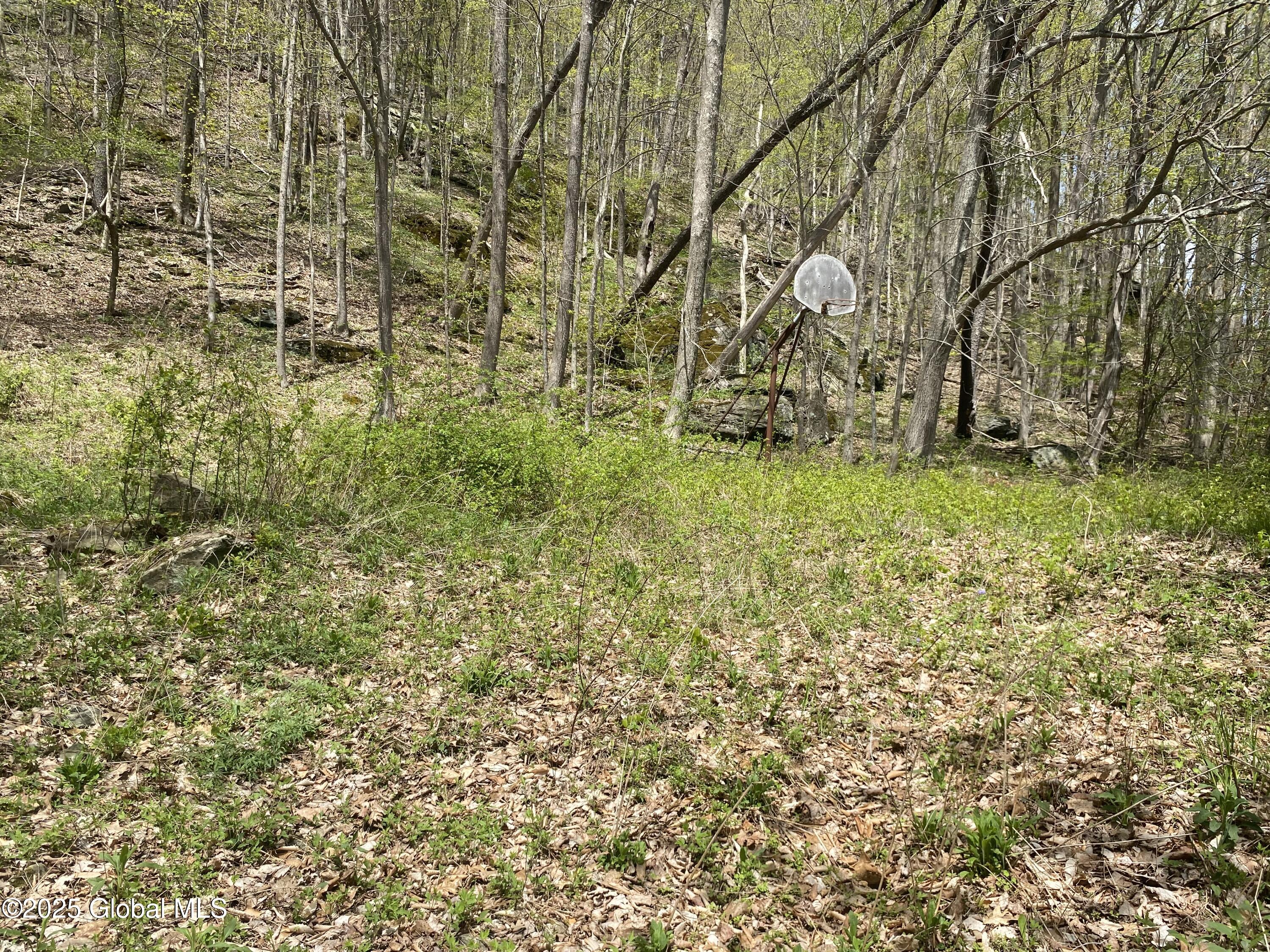 18751 State Route 22, Petersburgh, New York image 20