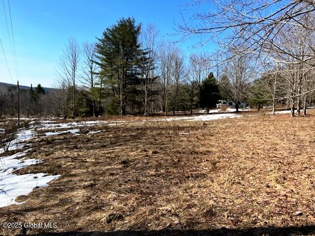 156 Akita Lane, Jefferson, New York image 14