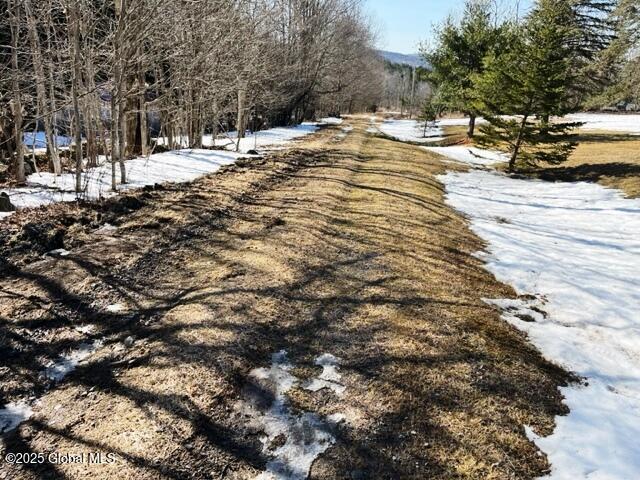 156 Akita Lane, Jefferson, New York image 12