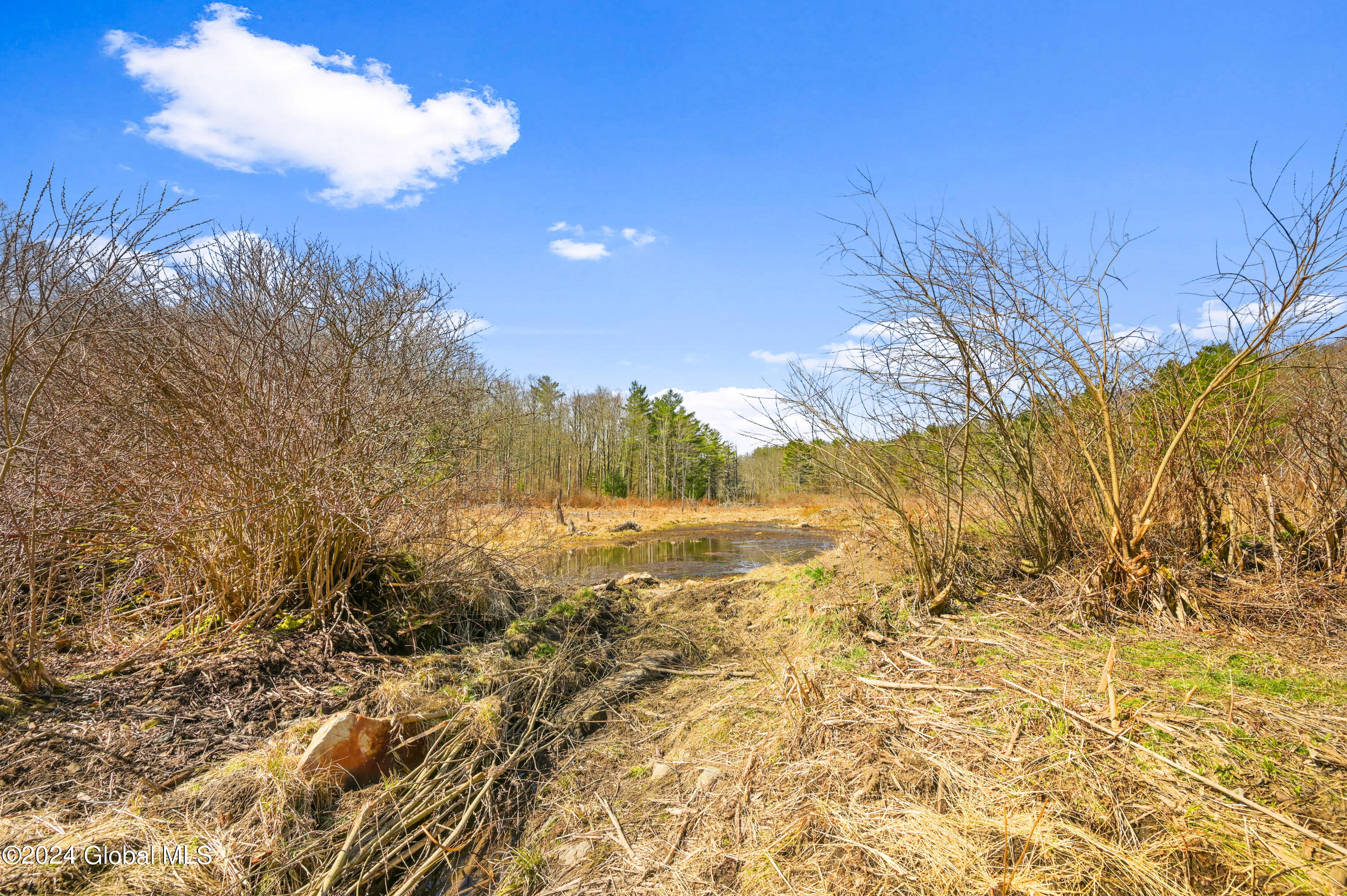 L2.35B Blenheim Hill Road, Jefferson, New York image 13