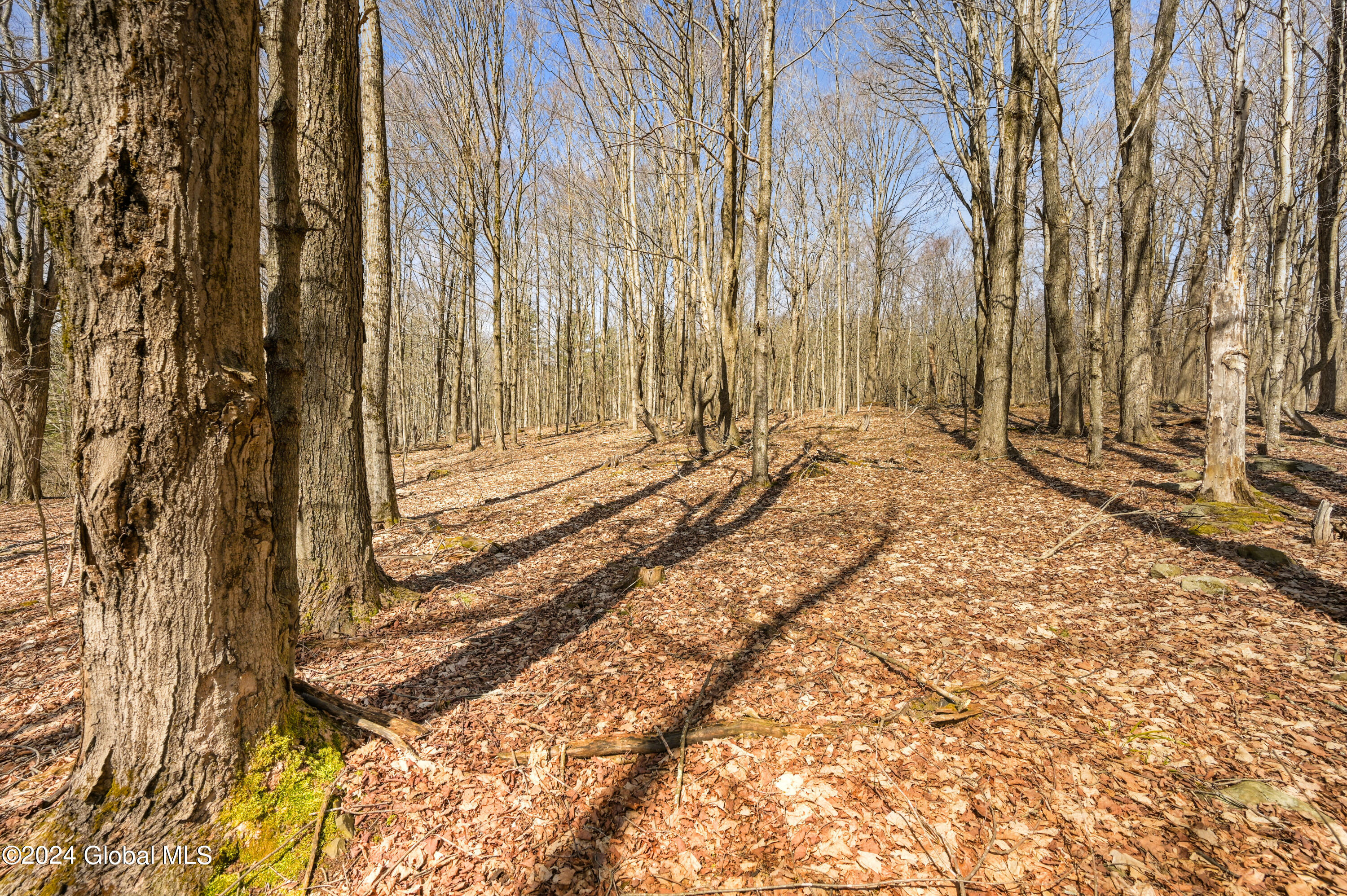 L2.35B Blenheim Hill Road, Jefferson, New York image 1