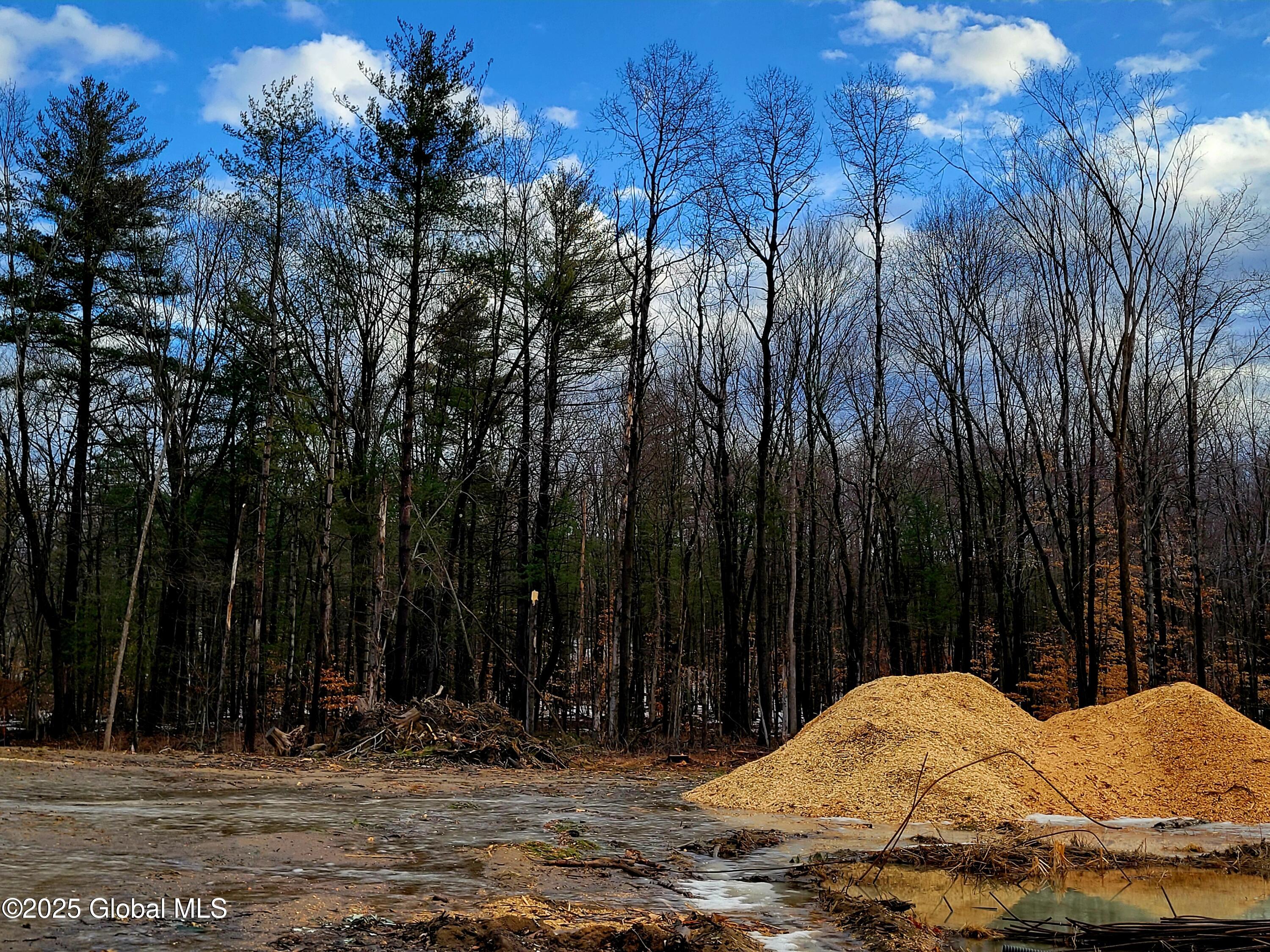 7 Brooke Court, Clifton Park, New York image 1