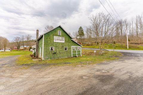 Photo of 1198 Fox Creek Road, Preston Hollow, NY 12469 (MLS # 202611093)