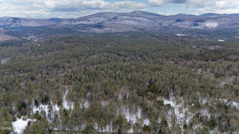 Photo of 167 Rice Road, Northville, NY 12134 (MLS # 202611022)