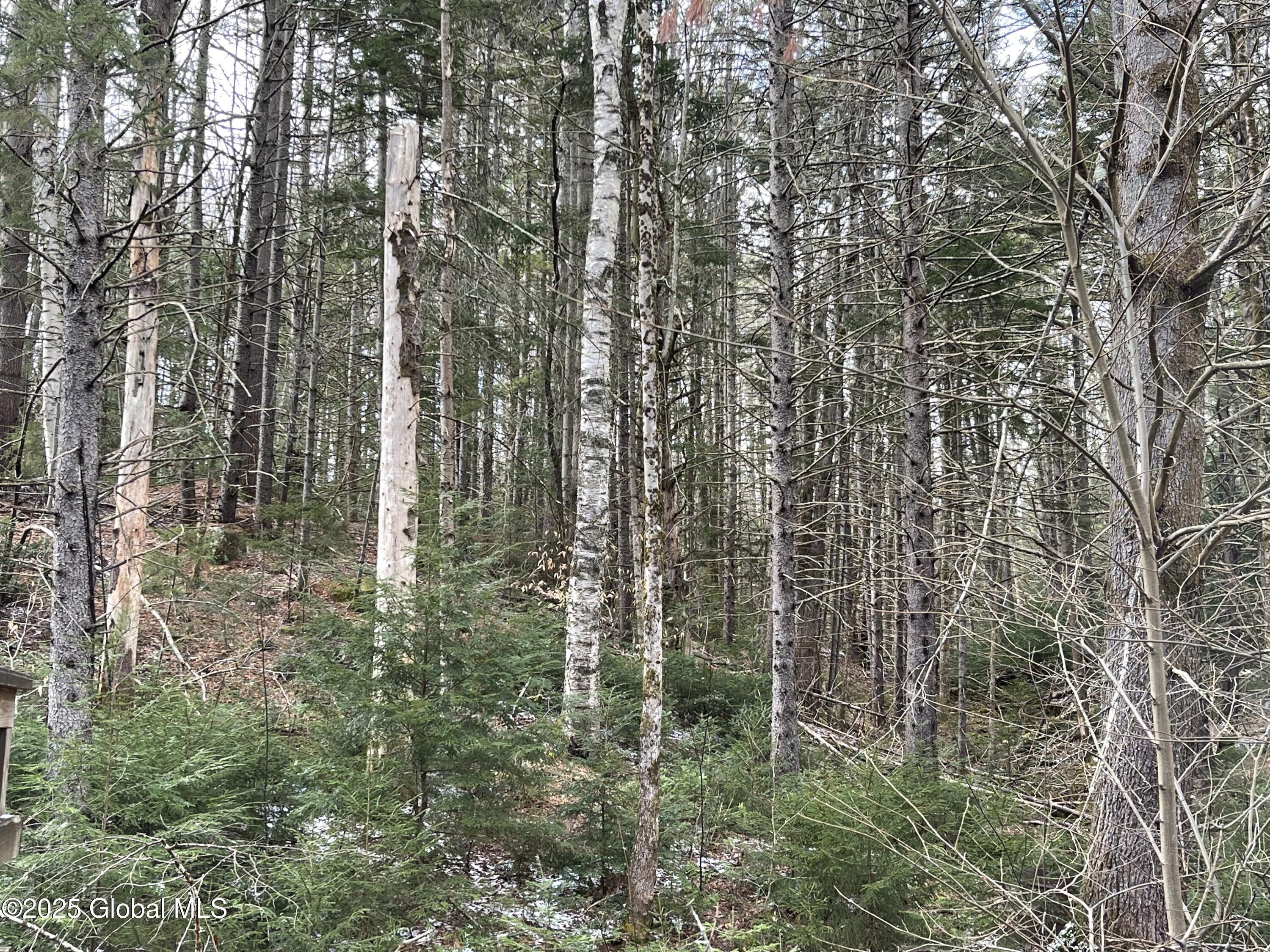 804 Harrisburg Rd, Stony Creek, New York image 8