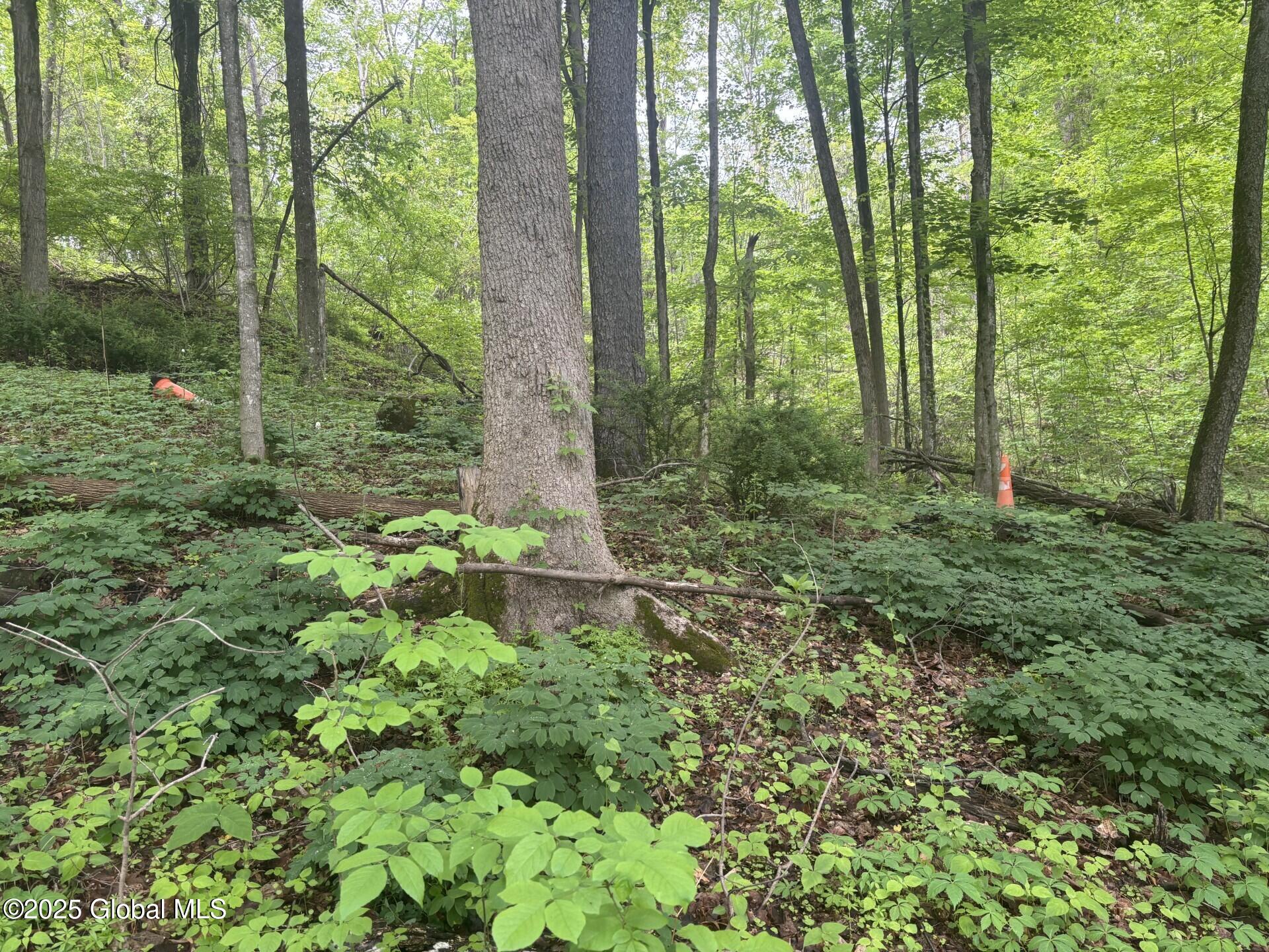 238 Emigh Road, Milton, New York image 2