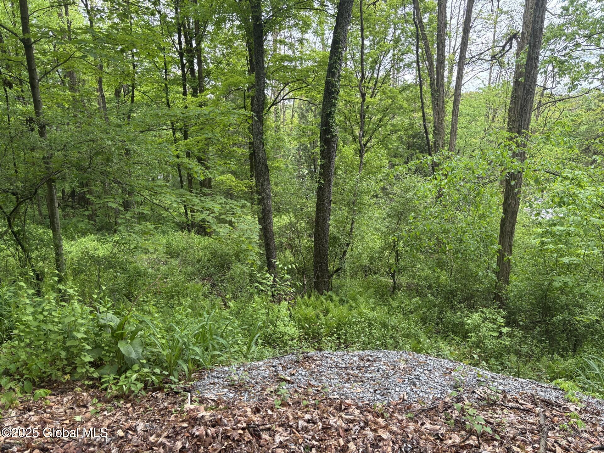 238 Emigh Road, Milton, New York image 1