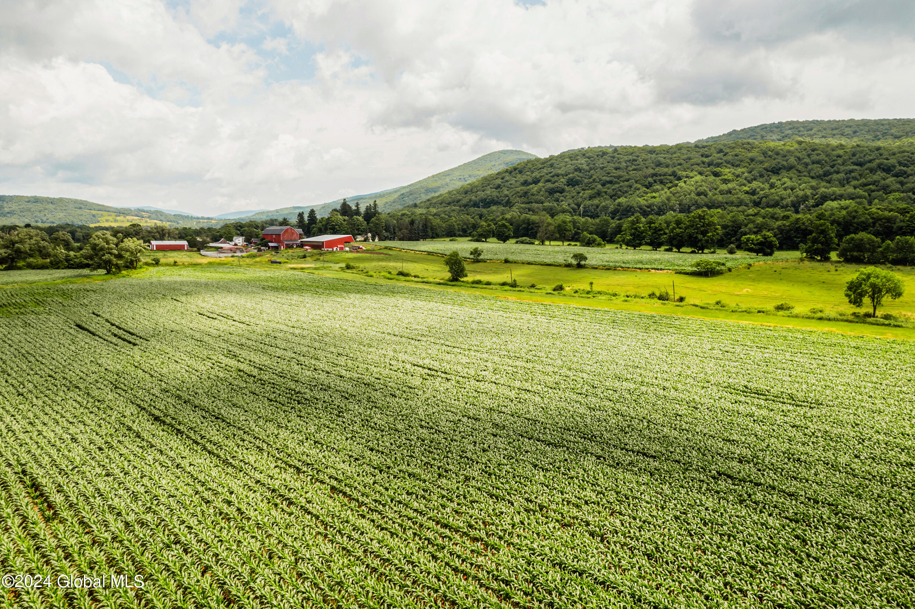 11609 County Road 18, Hobart, New York image 11