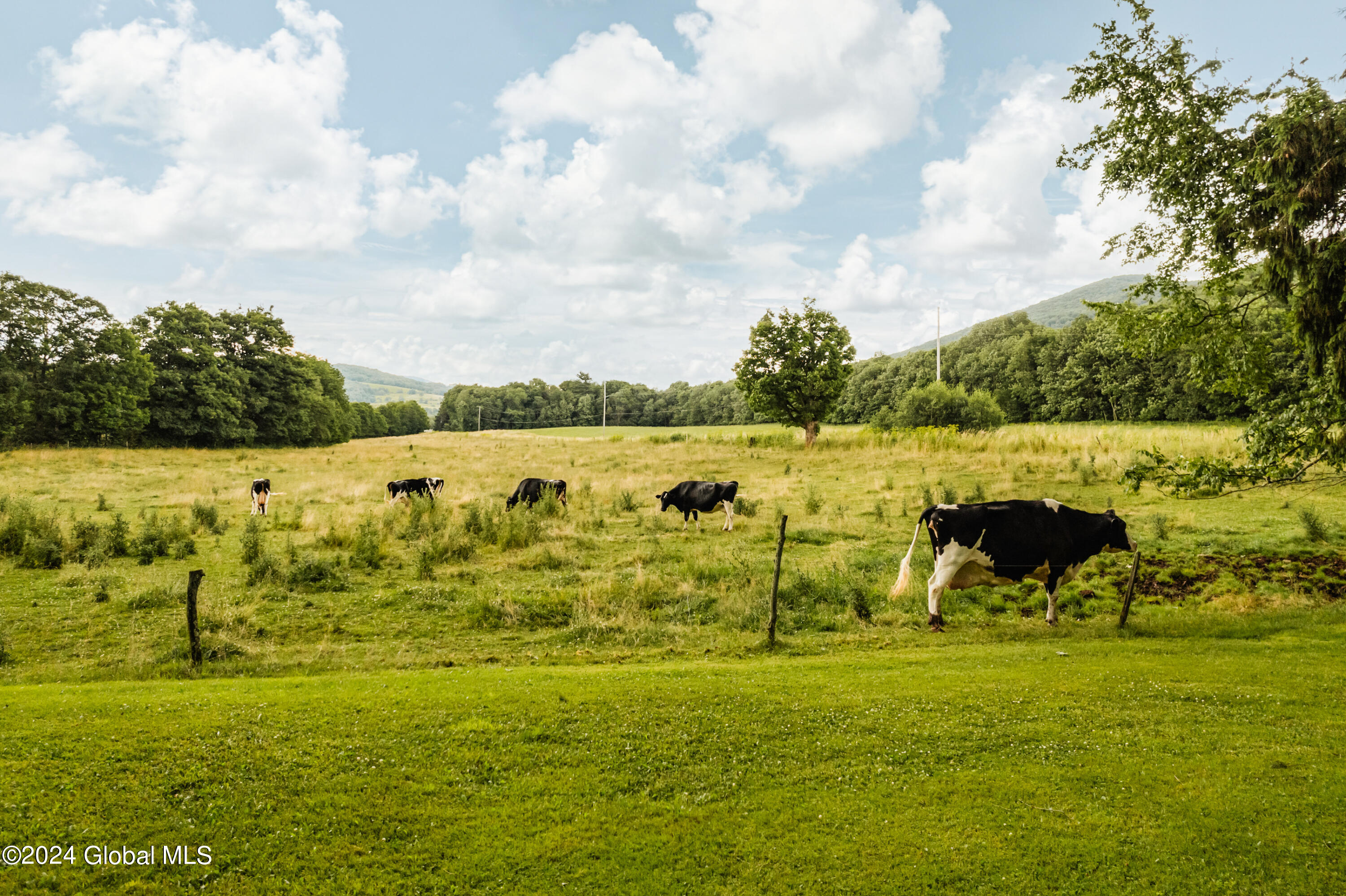 11609 County Road 18, Hobart, New York image 9