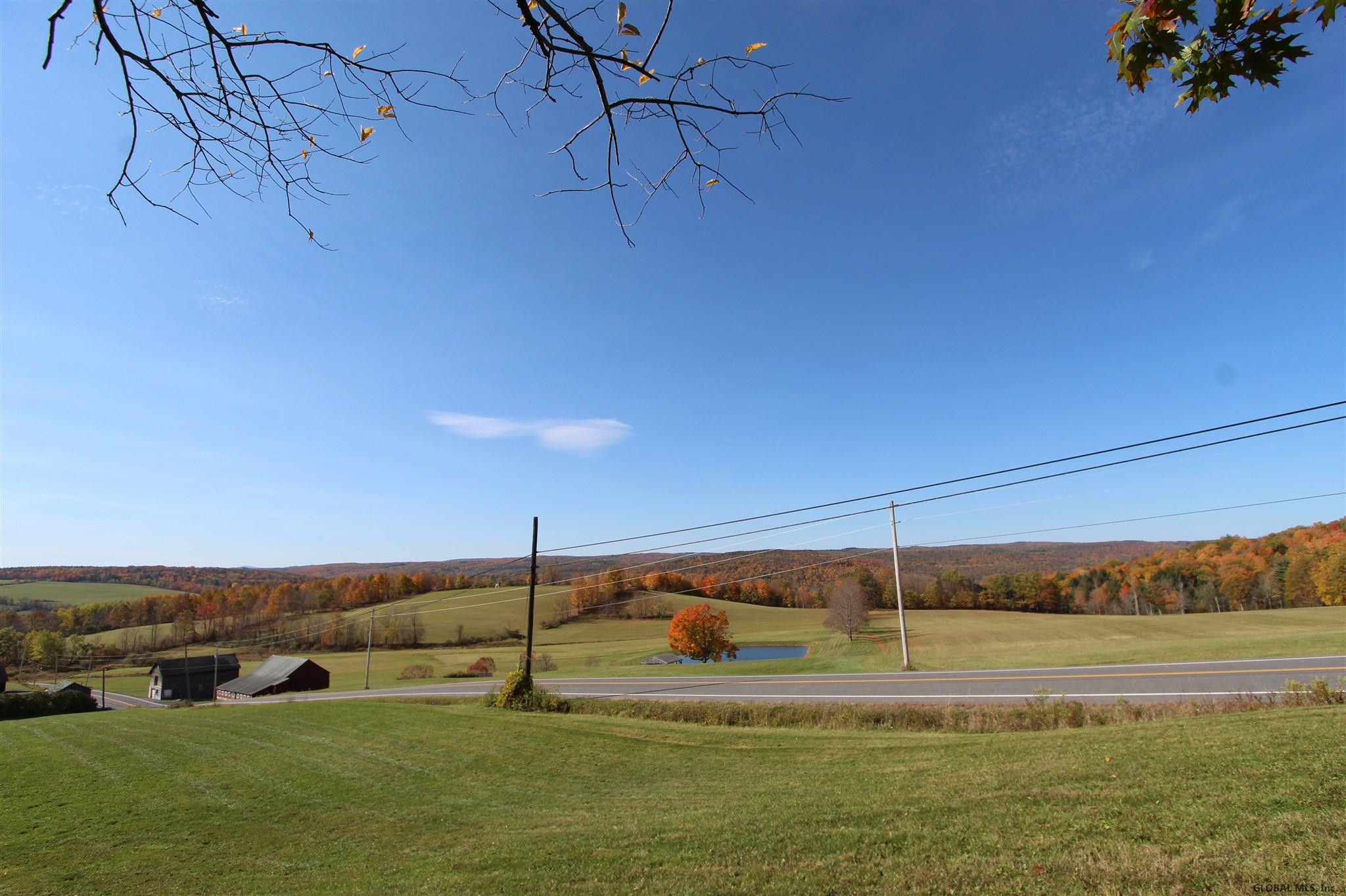 Willsie Road, Berne, New York image 1