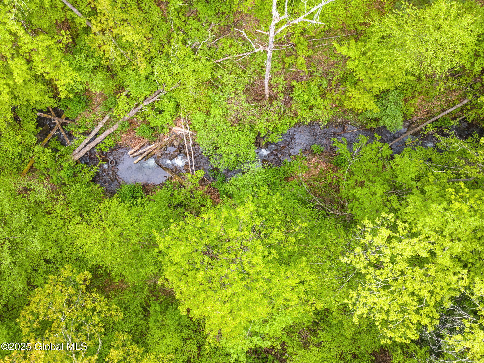 143 Lower Road, Middleburgh, New York image 27