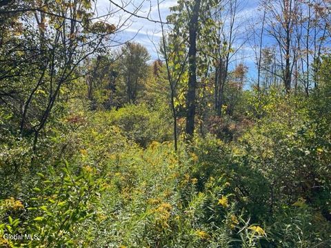 Vacant Land For Sale - L16.4 Duanesberg Road<br/> Duanesburg, NY 12056