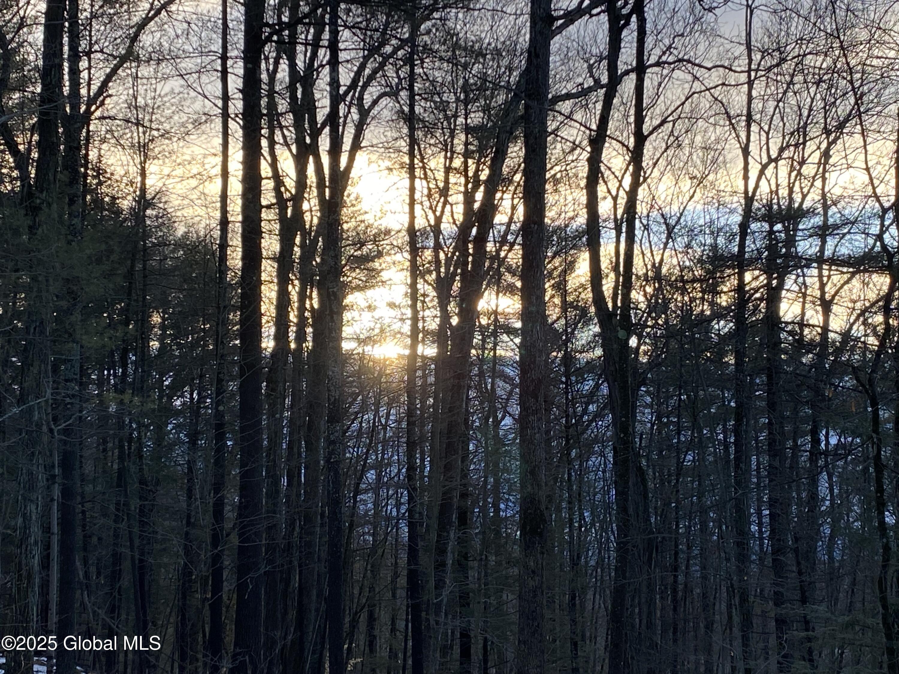 L43.2 Travis Trail, Lake George, New York image 5
