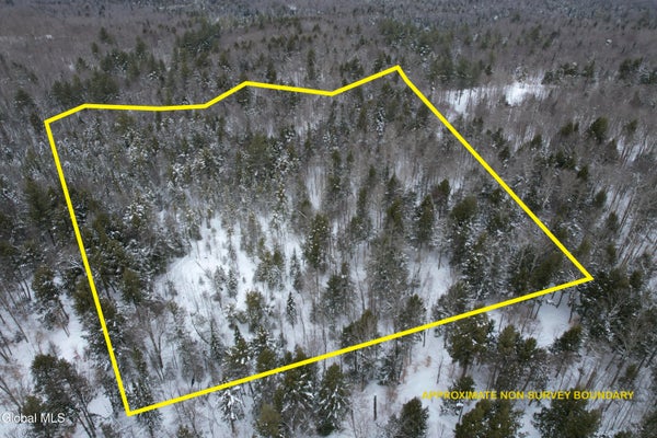 LONE PINE DR, FORESTPORT, NY 13338 - Image 3af3da341a3ffe9b6eb2388c4fada2ba/3796985219