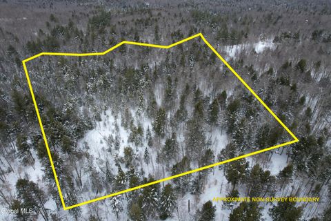 Photo of 3164 Lone Pine Extension, Forestport, NY 13338 (MLS # 202613229)