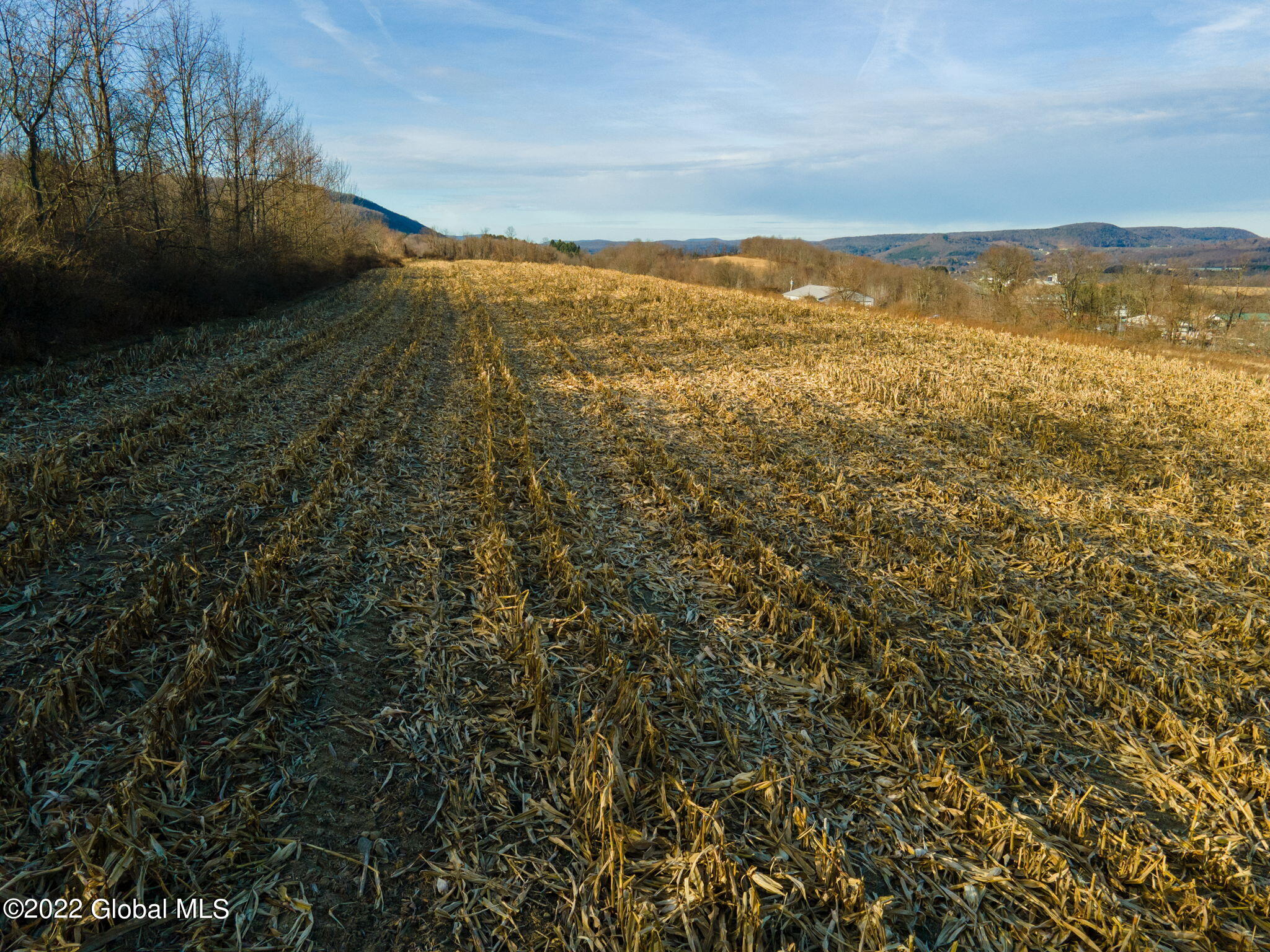 L11 State Route 7, Cobleskill, New York image 9