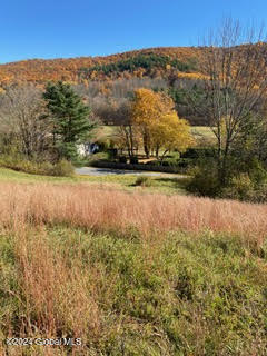 L6.1 County Route 62, Cambridge, New York image 14